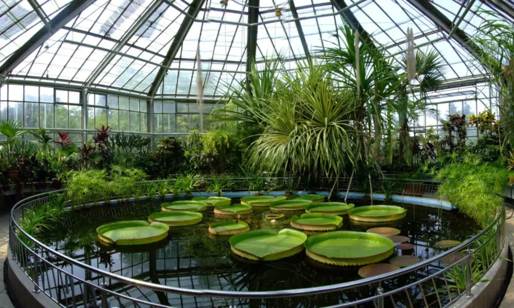 Bucharest Botanical Garden
